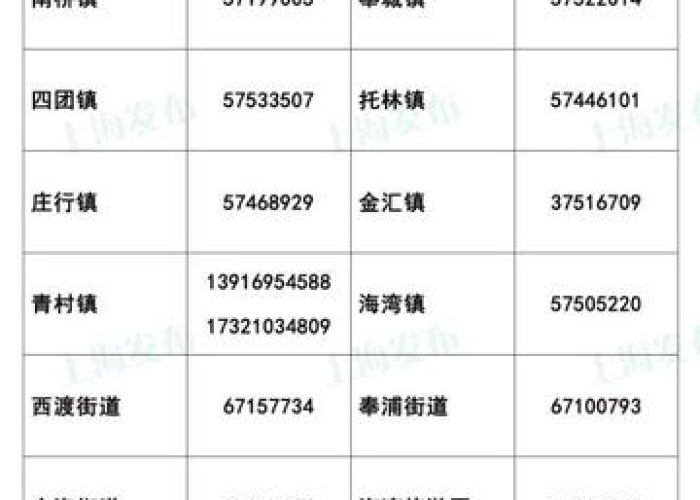 上海市疫情防控小组电话—（上海市疫情防控指挥部咨询电话）