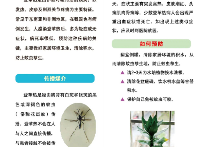 广州2024年12月登革热疫情观察，冬季反常活跃的警示