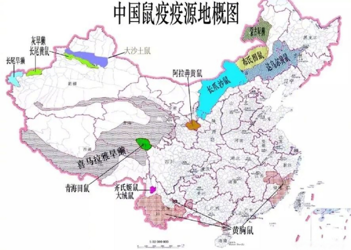 银川病毒暗影，一次意外发现如何改写西北防疫版图