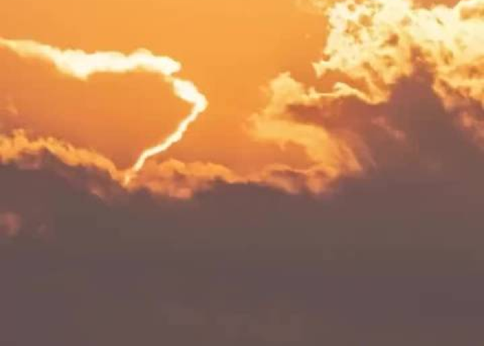 塞上江南战疫记，银川的坚韧与温度