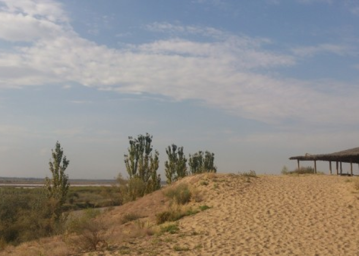 银川战疫，黄河之滨的坚韧与温度