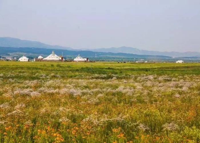 呼和浩特,草原青城的战疫与韧性 呼和浩特,草原青城的战疫与韧性