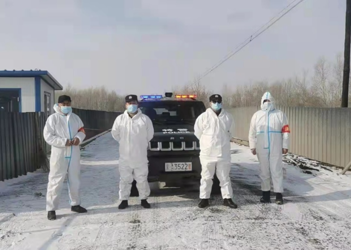 黑龙江疫情，精准防控下的坚韧与复苏