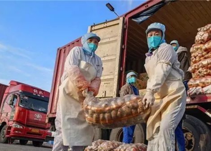 黑龙江疫情，从北国粮仓到抗疫长城的突围之路