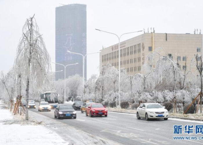 北国疫情趋稳,古都秋雨送凉—黑龙江防控见成效,西安迎来降温天气 北国疫情趋稳,古都秋雨送凉—黑龙江防控见成效,西安迎来降温天气