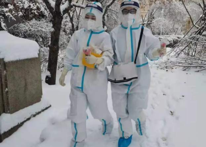 黑龙江省病情,冰封之下的生命韧性 黑龙江省病情,冰封之下的生命韧性