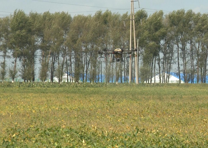 台风海神北上逼近,黑龙江省发布暴雨大风预警 台风海神北上逼近,黑龙江省发布暴雨大风预警