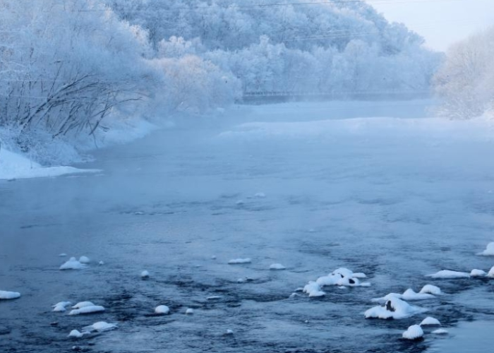 清零之后,黑龙江的静与动 清零之后,黑龙江的静与动