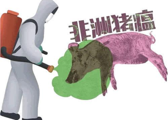 黑龙江省疫情平稳转段，沈阳监测显示新毒株占比上升需警惕