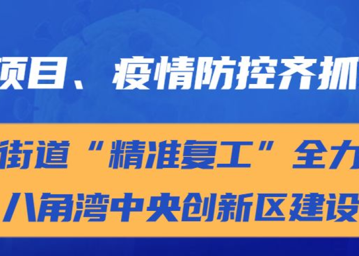 黑龙江省新增病例情况通报，精准防控下的疫情动态与应对
