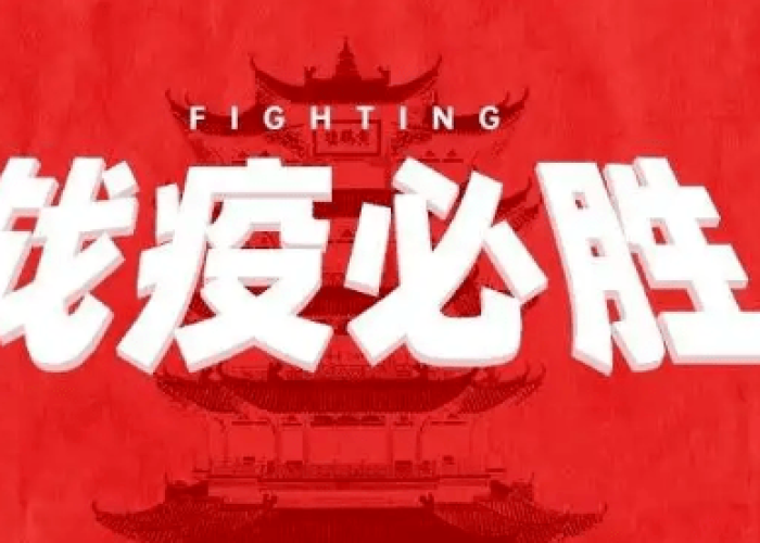 黑龙江省新疫情，科学防控与全民坚守下的北疆战疫