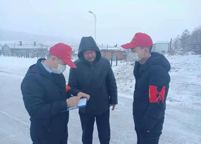 黑龙江省新增病例情况通报，精准防控下的疫情动态与应对