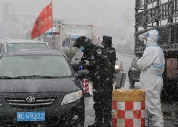 黑龙江省广疫情，寒地战疫中的坚韧与启示