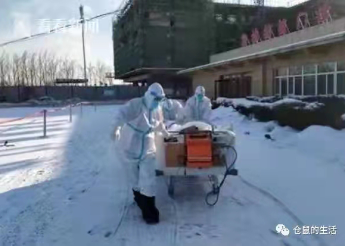 冰封之地的无声战役,黑龙江省疫情调查背后的治理密码 冰封之地的无声战役,黑龙江省疫情调查背后的治理密码