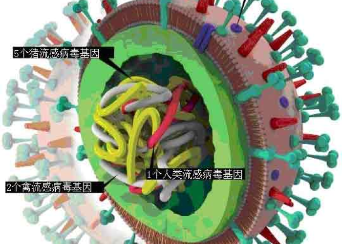 疫情这个病毒叫什么名字 → 疫情病毒是什么病毒 疫情这个病毒叫什么名字 → 疫情病毒是什么病毒