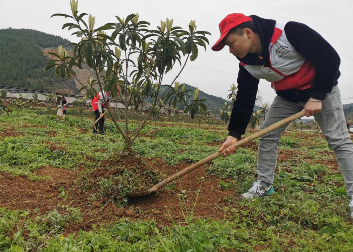 【贵州疫情最新情况实时动态查询,贵州疫情动态实时播报】 【贵州疫情最新情况实时动态查询,贵州疫情动态实时播报】