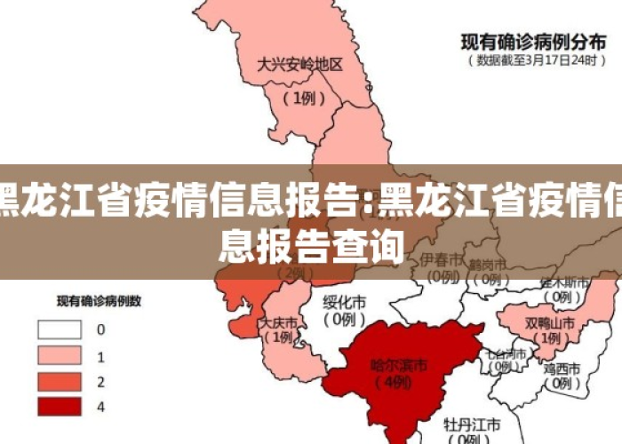 黑龙江省疫情进展情况查询指南，官方渠道与实用方法