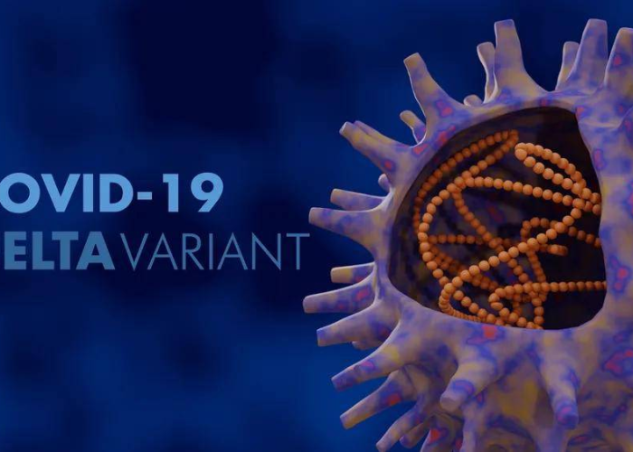 【疫情这是什么病毒啊·疫情是啥病毒】