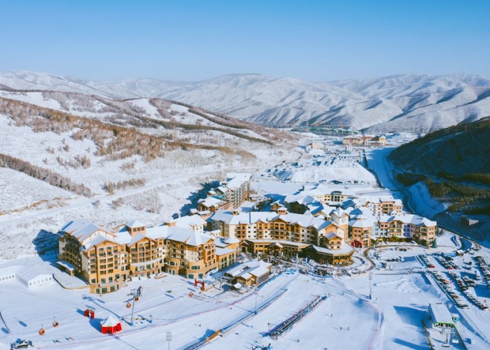 哈尔滨疫情报告，冰雪之城的坚韧与复苏