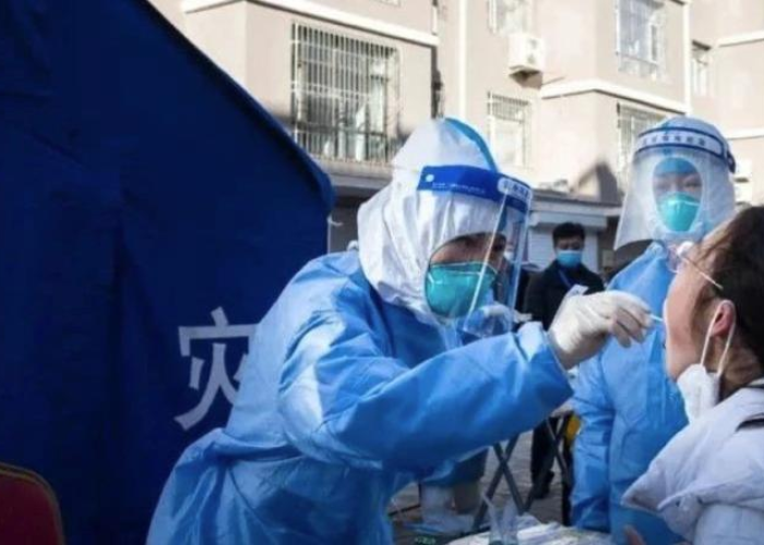 黑龙江省新增本土病例持续受控，精准防控保障生产生活平稳有序