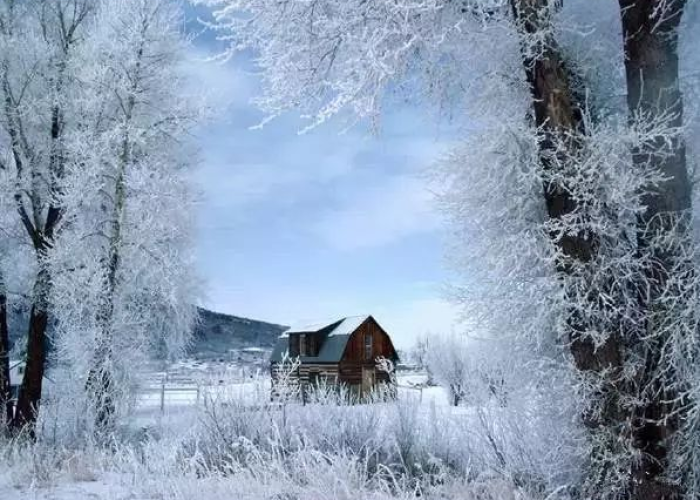 哈尔滨的冬天，冻不住人间暖流