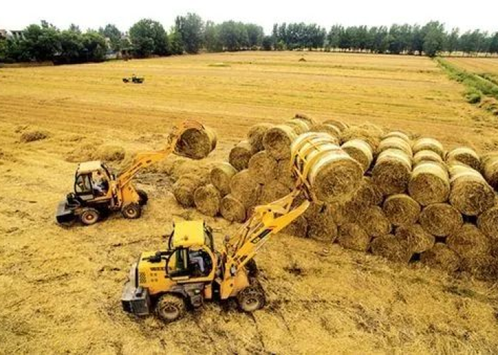 黑龙江省发布疫情防控最新指示，科学精准施策，筑牢北疆健康防线