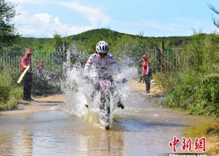 黑龙江省疫情管理公告，科学精准防控，筑牢北疆健康屏障