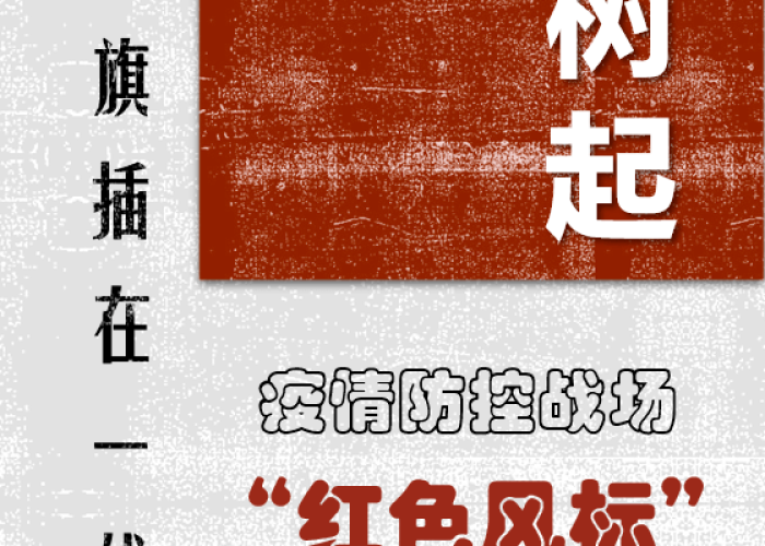 黑龙江省最新防疫公告解读，科学精准防控，筑牢健康屏障