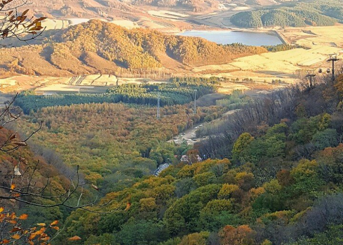 吉林省呼应›吉林省 呼应