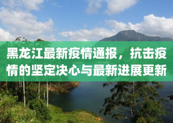 疫情双线观察，黑龙江通报防控进展，香港疫情态势引关注