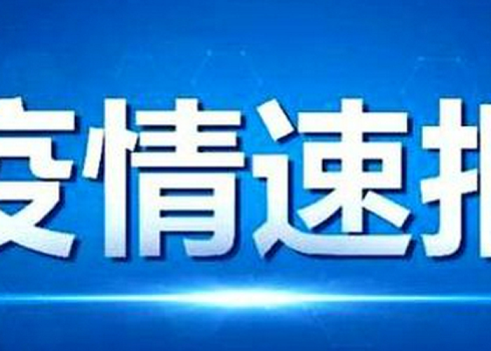 疫情通报，黑龙江省本土病例波动，澳门社会面清零巩固
