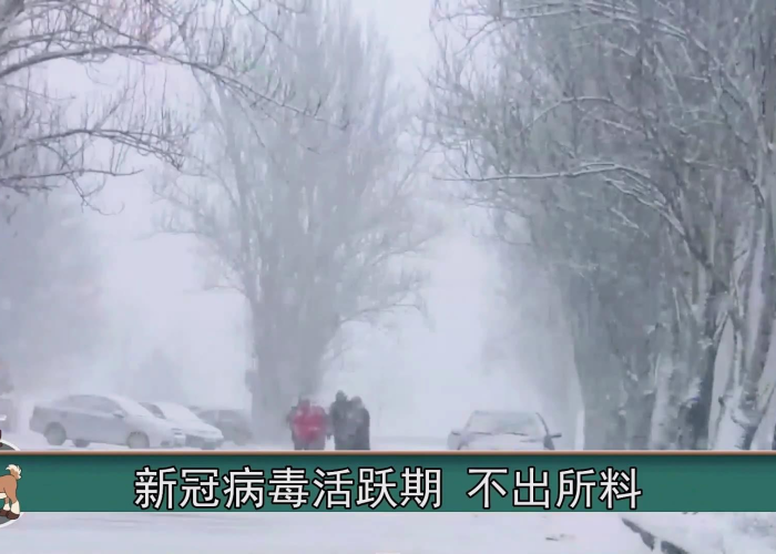 【上海疫情是哪一天发生的·上海疫情发生时间】