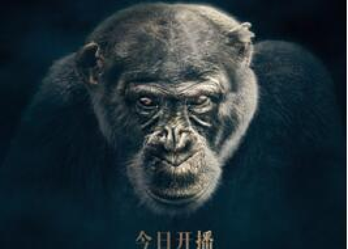 疫情通报黑龙江省,边境防线上的坚守与合肥最新消息,精准防控下的城市脉动 疫情通报黑龙江省,边境防线上的坚守与合肥最新消息,精准防控下的城市脉动