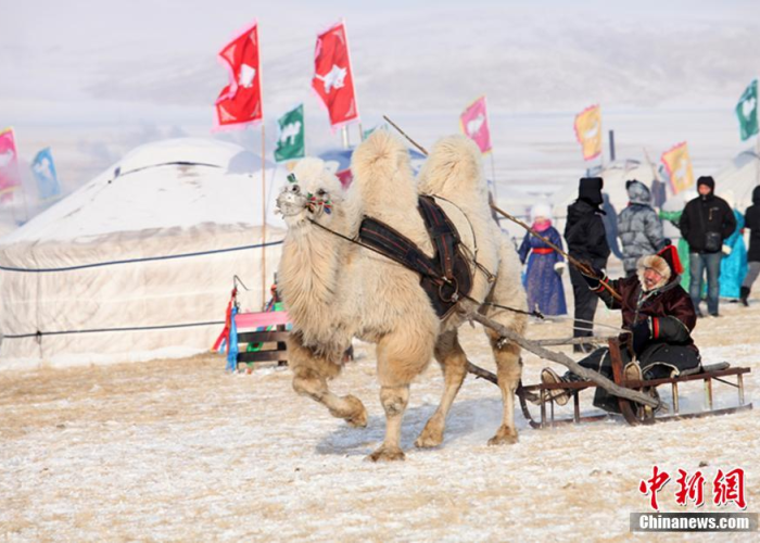 跨越地域的守护，从内蒙古草原到哈尔滨冰雪的抗疫纪实