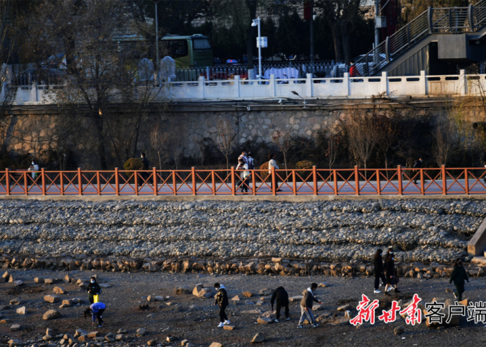 黄河两岸同风雨，宁夏兰州疫情下的守望与韧性