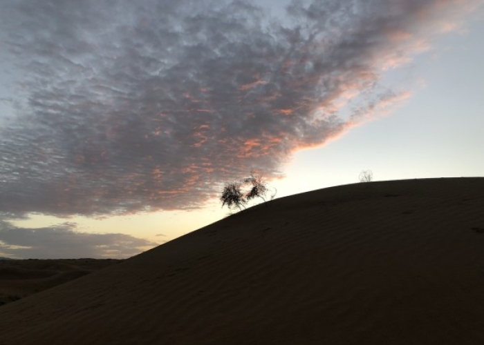 银川静默，黄河之滨的暂停与重启