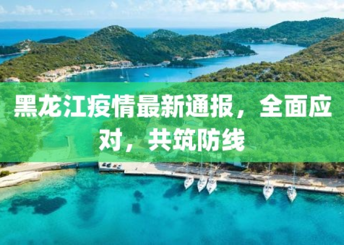 黑龙江省发布最新疫情通报，科学防控，筑牢北疆健康屏障