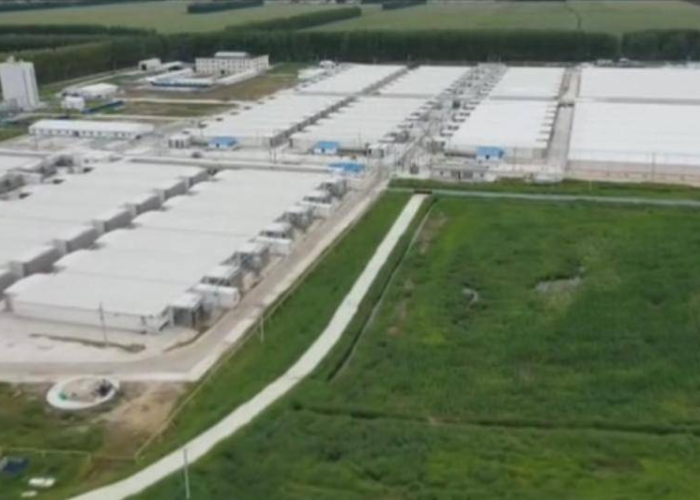 黑龙江省兰西县疫情最新动态，精准防控下的社会面清零攻坚