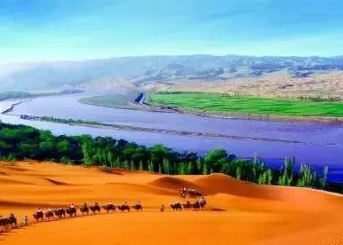 宁夏疫情大考，塞上江南的坚韧与温度