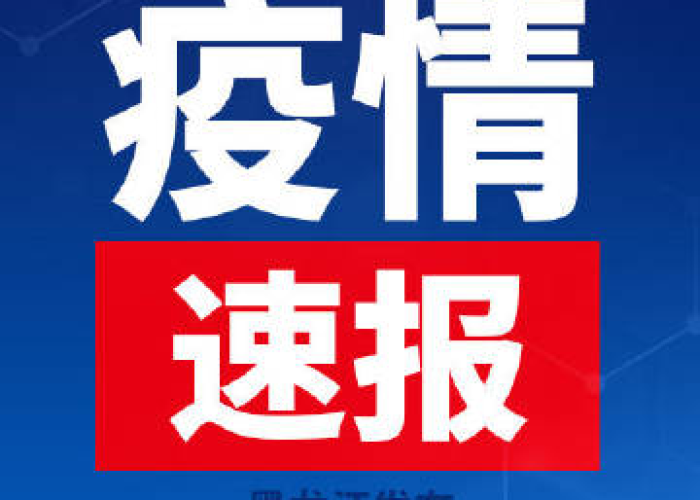 黑龙江省疫情最新情况通报，精准防控与有序恢复并行