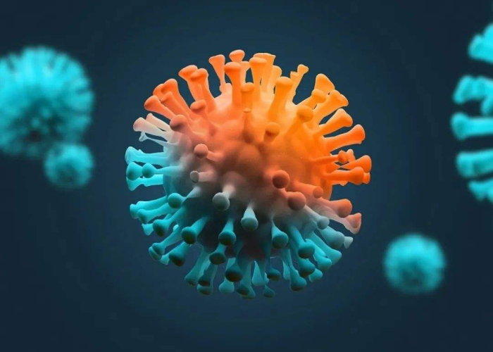 【去年疫情病毒叫什么病毒,去年疫情病毒叫什么病毒名字】