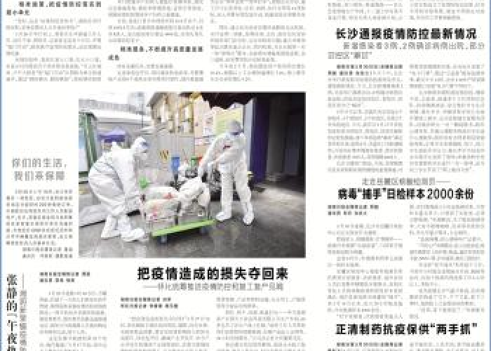 黑龙江省疫情最新通报，精准防控下的坚韧与希望