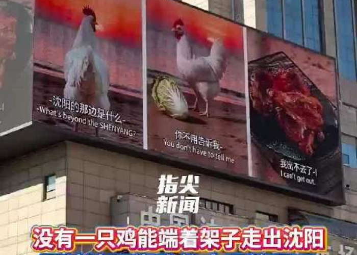 疫情沈阳鸡架最新消息澳门›沈阳鸡架轨迹