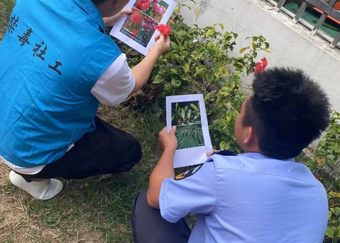 疫情通报背后的龙江防线，数据、担当与温度