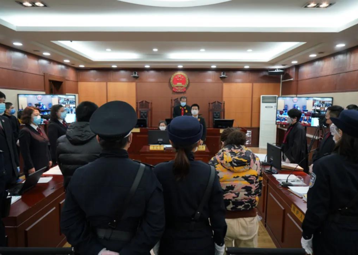 黑龙江省疫情实时更新，精准防控与全民守护