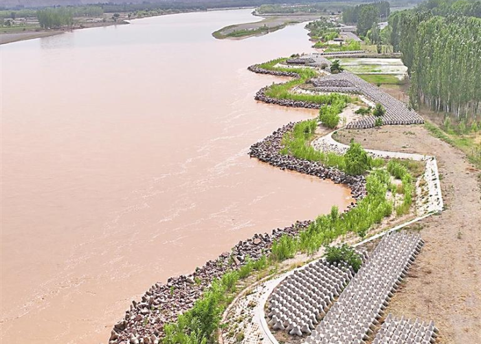 银川战疫，黄河岸边的坚韧与温度