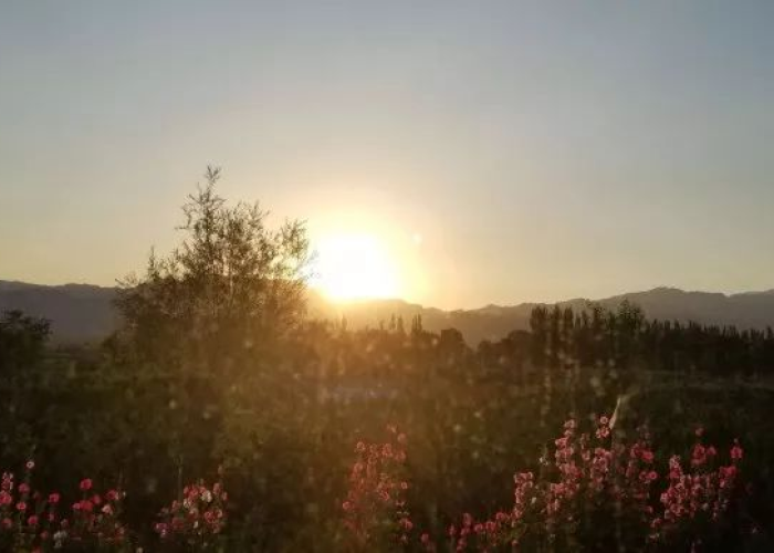 封控下的塞上湖城，银川如何用西北人的坚韧，守护烟火寻常