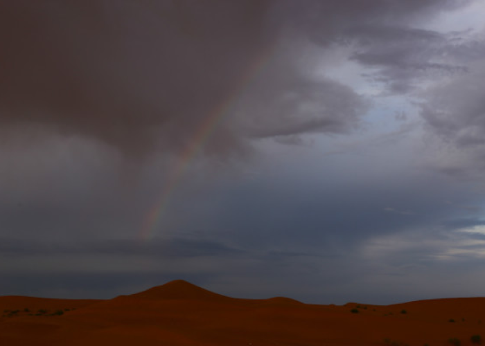 封控下的塞上湖城，银川如何用西北人的坚韧，守护烟火寻常