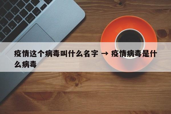 疫情这个病毒叫什么名字 → 疫情病毒是什么病毒