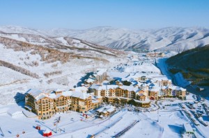 哈尔滨疫情报告，冰雪之城的坚韧与复苏